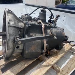Transmission 10 Regular 