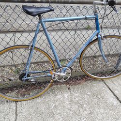 Extra large size ice berg blue Raleigh technium single speed road bike w/ new tires