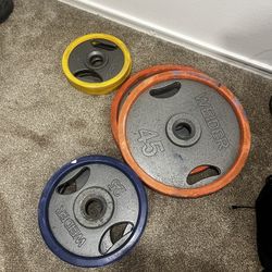 Weider Iron Weight Plates With Rubber Bumpers 