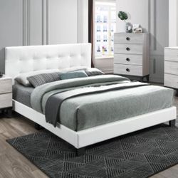 New! Contemporary Queen Platform Bedframe 