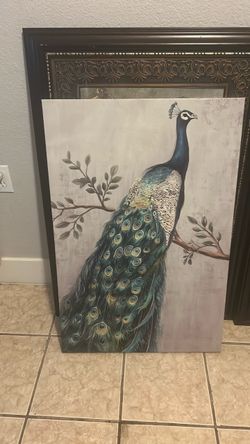 Peacock picture