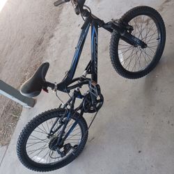 20" Mountain Bike 