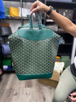 Goyard backpack 🎒