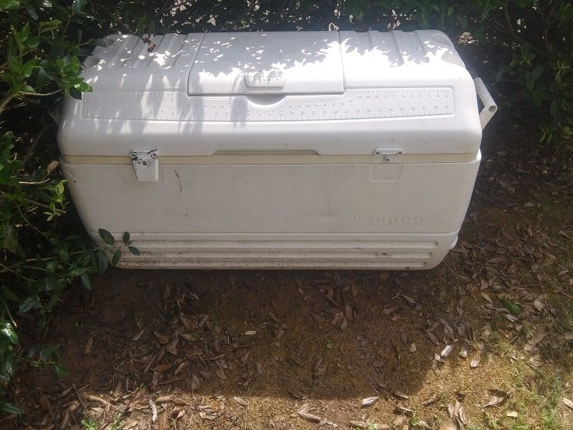Big Cooler