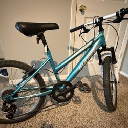 Huffy 20 Inch Bicycle