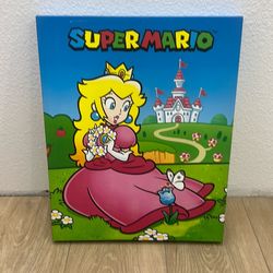 super Mario princess peach poster