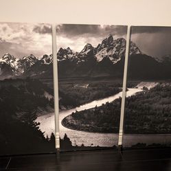 Snake River and Tetons 3 piece Canvas
