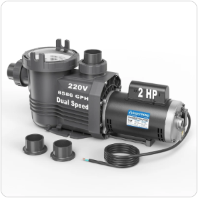 Riptide Series 2 HP Dual Speed Pool Pump 220V 8586 GPH In/Above Ground Grey