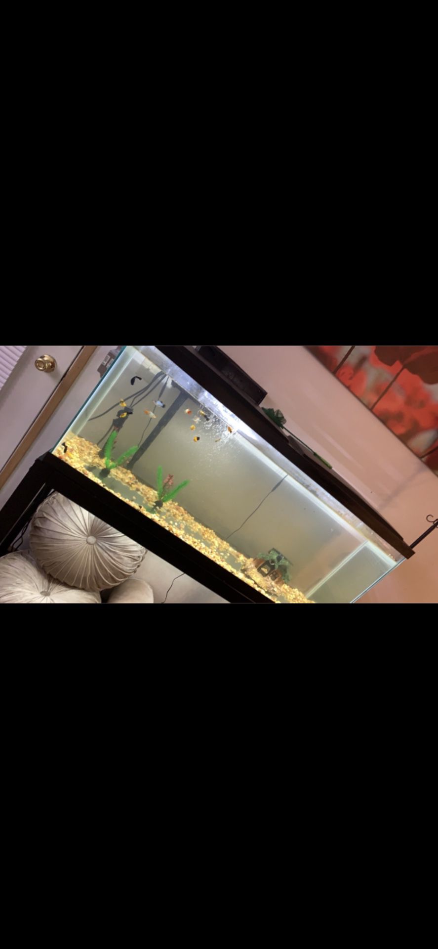 Aquarium 55 Gallons , stand and Marineland , Magniflow 360 gph canisters filter $250 Vancouver,WA