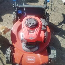 Se Vende Toro Personal Pace 22 Pulgadas De Corte Jalando Al Cien Lista Pal Travajo No Bolsa 