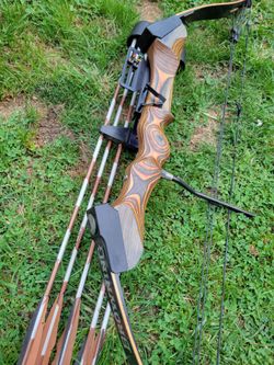 Compound bow browning