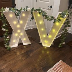 Quinceañera sign - With Lights And Garland