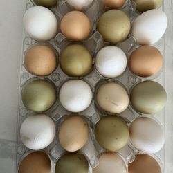 Unwashed Fresh Eggs. Two Dozen