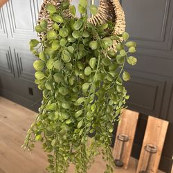 Hanging Wicker Plant  