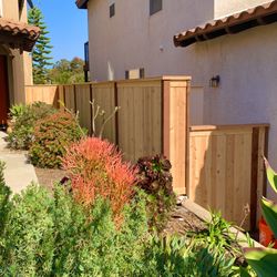 Fence Gate 