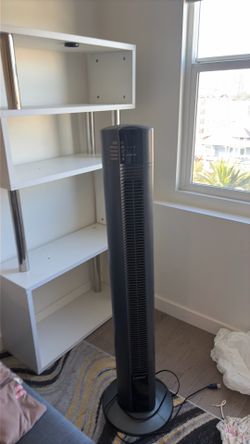 Fan