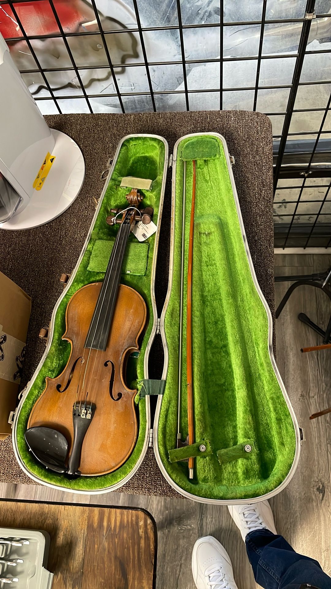 Violin