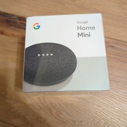 Google home mini