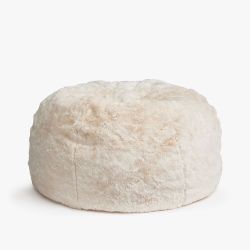 Pottery Barn Faux Fur Bean Bag Chair – $320 → $50