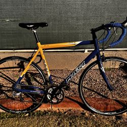 MASI Alare Road Bike, 58cm XL, 24-Speed, 700c Wheels, NEW Tires/Tubes/Cables/Chain/Bar Tape/Seat, plus a FULL Tune-up – Super CLEAN!