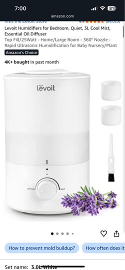 Humidifier with diffuser cool mist