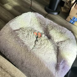 Dog Or Cat Bed 