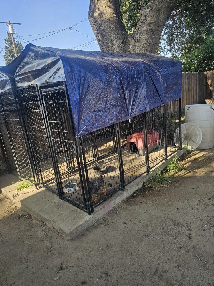 Dog Kennel Perro Jaula