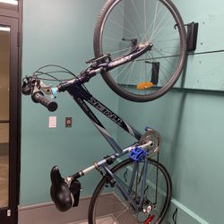 TREK Female Mountain Bike