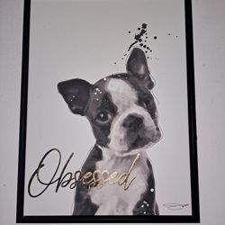 Boston Terrier