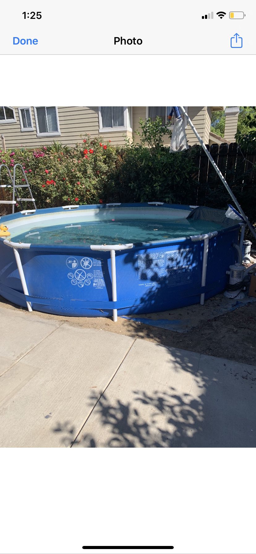Big pool with filter and water pump