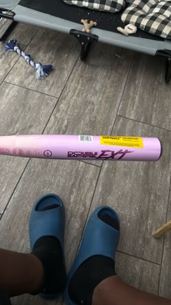 Ghost bat