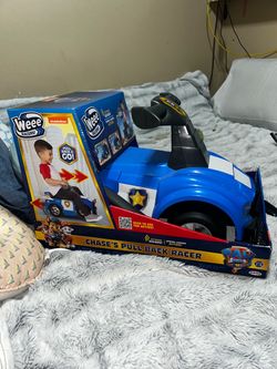 Paw patrol
