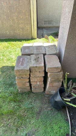 Paver bricks