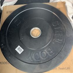 10lb Bumper Plate Pair