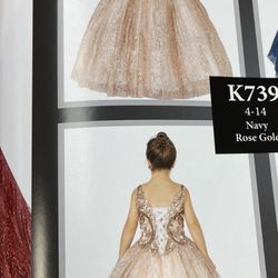 Rose gold Dress