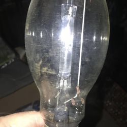 Vintage Antique Large Light Bulb 