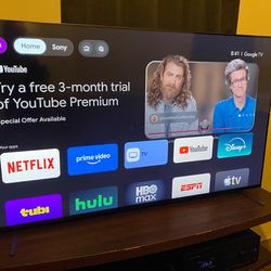65” Sony x90l for sale