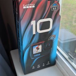 GoPro HERO 10 And Handler 