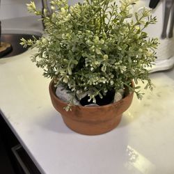 Fake Plant 