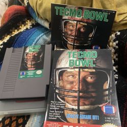 Techmo Bowl  Nintendo Game 