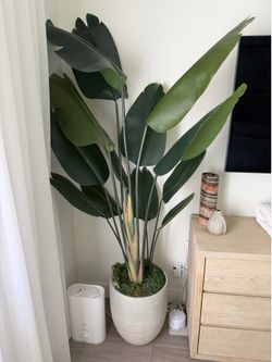 7 foot banana tree fake plant