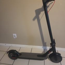 Electric Scooter Adult 