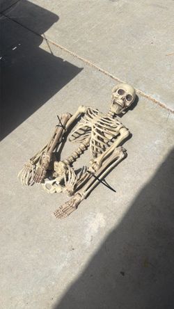 Durable skeleton, great for Halloween parties or for props