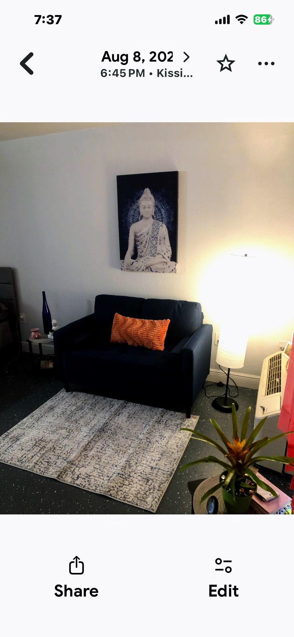 Small Sofa Ideal for a Studio 