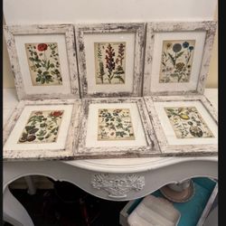 Set Of 6 Botanical Prints 