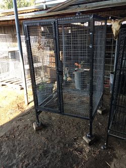 Big Cage.