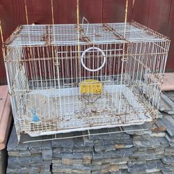 Bird Cage