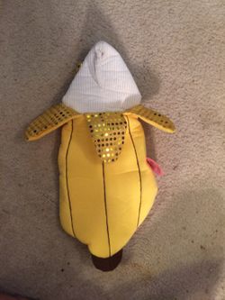 Dog costumes for Halloween