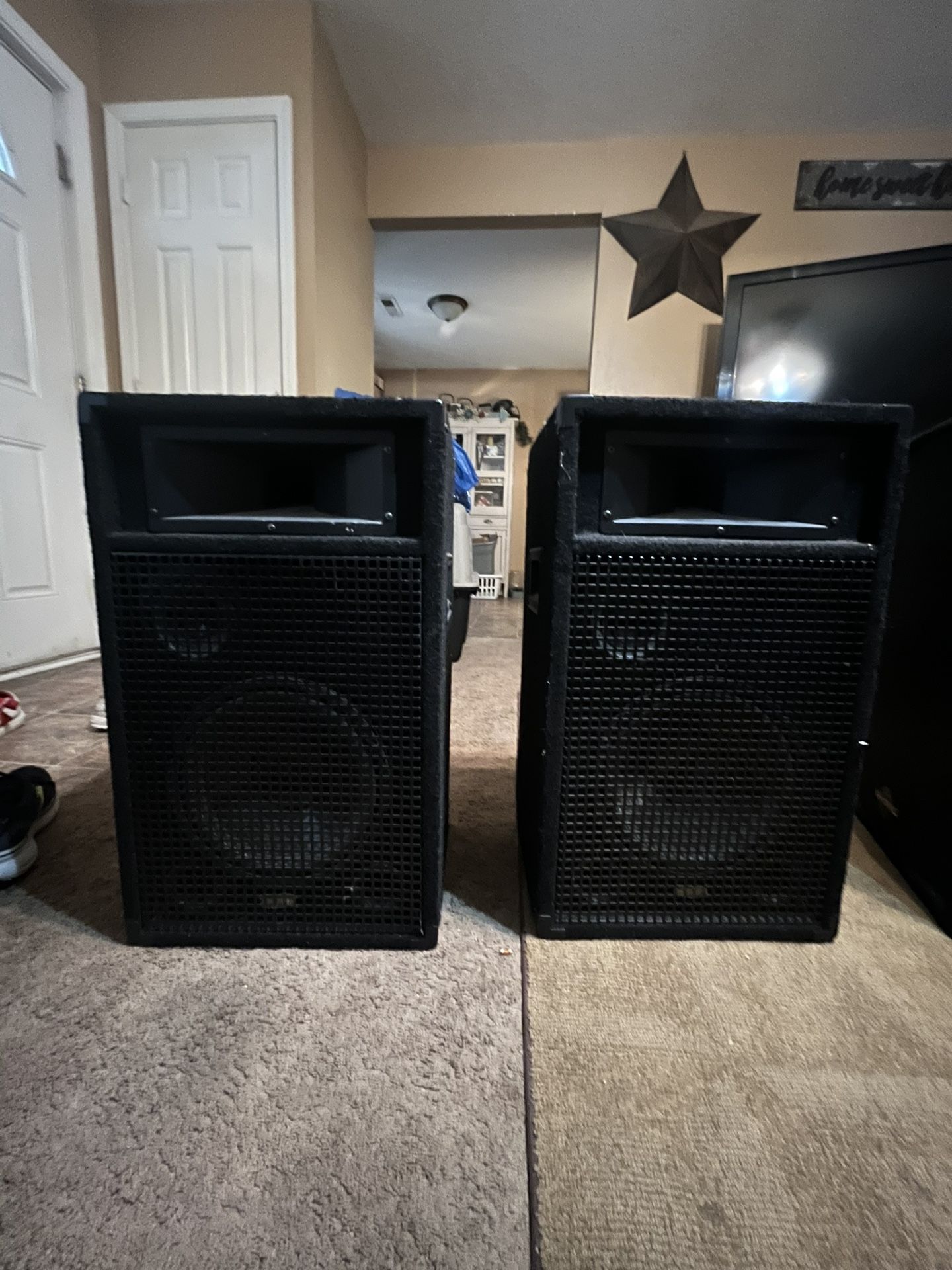 Acoustic Audio Br-10s