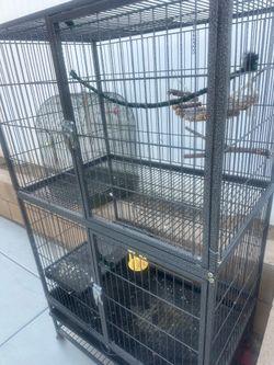 Birdcage